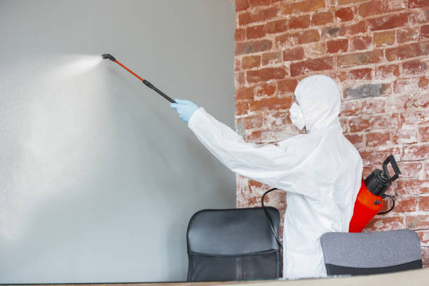 Best Asbestos and Lead Testing During Mold Inspection  in Sedona, AZ