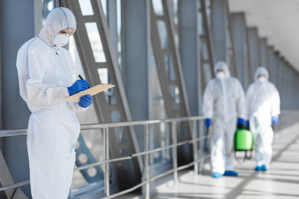 Best Commercial Mold Inspection  in Sedona, AZ