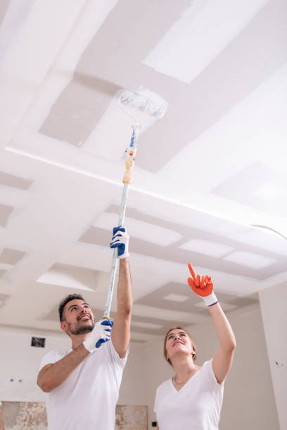 Best Attic Mold Removal  in Sedona, AZ