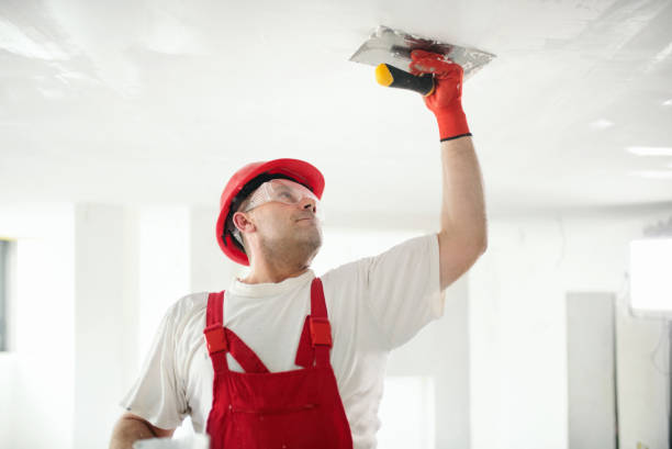 Best Forensic Mold Investigation  in Sedona, AZ
